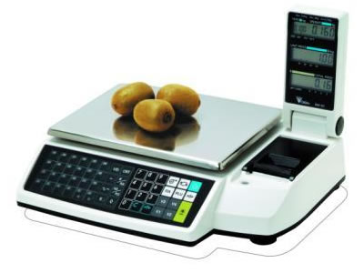 內(nèi)蒙古電子地磅 內(nèi)蒙古電子地磅